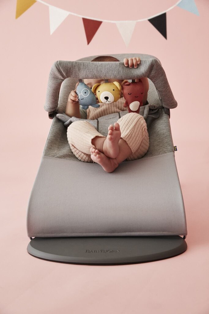 Babybjörn lamamistool Bliss Bundle Light Grey, 3D Jersey/toy hind ja info | Beebi lamamistoolid | hansapost.ee