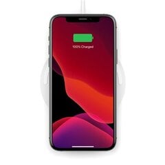 Belkin Wireless Charging Pad with PSU USB зарядное устройство цена и информация | Belkin Мобильные телефоны, Фото и Видео | hansapost.ee