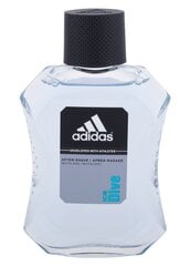 Adidas Ice Dive aftershave для мужчин 100 мл цена и информация | Парфюмированная косметика для мужчин | hansapost.ee