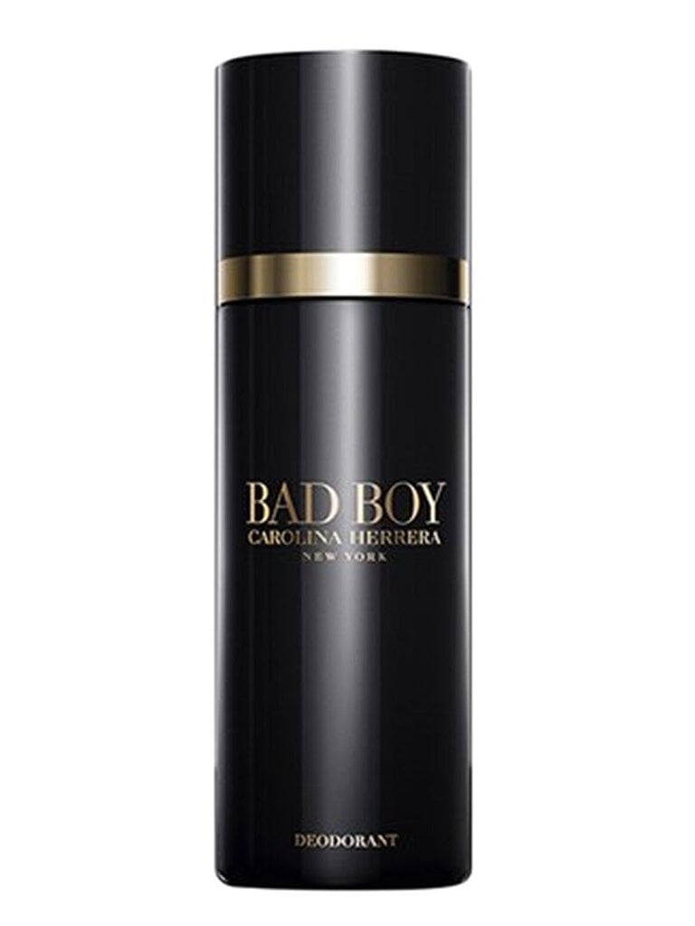 Pihustatav deodorant Carolina Herrera Bad Boy meestele 100 ml цена и информация | Dušigeelid ja deodorandid meestele | hansapost.ee