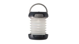 Фонарь для кемпинга Outwell Pegasus Solar Lantern цена и информация | Фонари и прожекторы | hansapost.ee