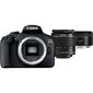 Canon EOS 2000D + EF-S 18-55mm IS II + EF 50mm STM hind ja info | Fotoaparaadid | hansapost.ee