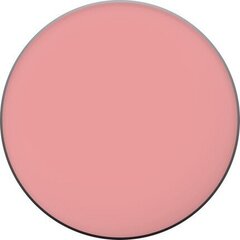 Rimmel Lasting Finish 4 g, 050 Live Pink hind ja info | Päikesepuudrid ja põsepunad | hansapost.ee