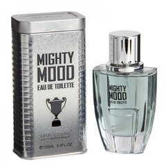 Tualettvesi Linn Young Mighty Mood EDT meestele 100 ml hind ja info | Parfüümid meestele | hansapost.ee