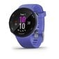 Garmin Forerunner® 45S Iris цена и информация | Nutikellad, laste nutikellad | hansapost.ee