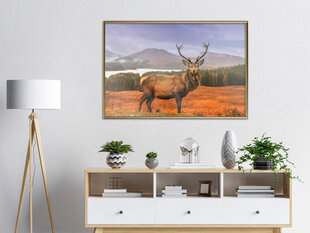 Poster - Majestic Deer hind ja info | Seinapildid | hansapost.ee