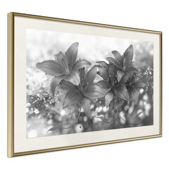 Poster - Dark Lillies hind ja info | Seinapildid | hansapost.ee