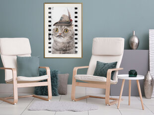 Плакат Dressed Up Cat цена и информация | Картины, живопись | hansapost.ee
