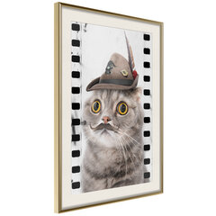Плакат Dressed Up Cat цена и информация | Картины, живопись | hansapost.ee