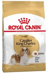 Royal Canin Cavalier king charles tõukoertele Adult, 1,5 kg hind ja info | Koerte kuivtoit ja krõbinad | hansapost.ee