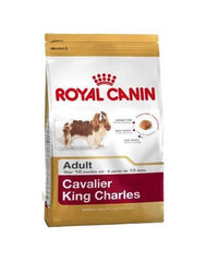 Royal Canin Cavalier king charles tõukoertele Adult, 1,5 kg hind ja info | Koerte kuivtoit ja krõbinad | hansapost.ee