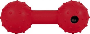 Резиновый Trixie Dumbbe с колокольчиком, 12.5 см цена и информация | Игрушки для собак | hansapost.ee