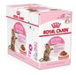 Konserv steriliseeritud kassidele ROYAL CANIN, 12 x 85 g цена и информация | Kassikonservid | hansapost.ee