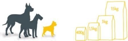 Fitmin Fitmin Mini Puppy - 15 kg цена и информация | Koerte kuivtoit ja krõbinad | hansapost.ee