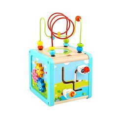 Puidust kuubik labürindiga 18 kuud+ Tooky Toy hind ja info | Beebide mänguasjad | hansapost.ee