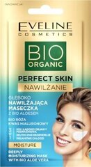 Маска для лица Eveline Perfect BIO Organic, 8 мл цена и информация | Маски для лица, патчи для глаз | hansapost.ee