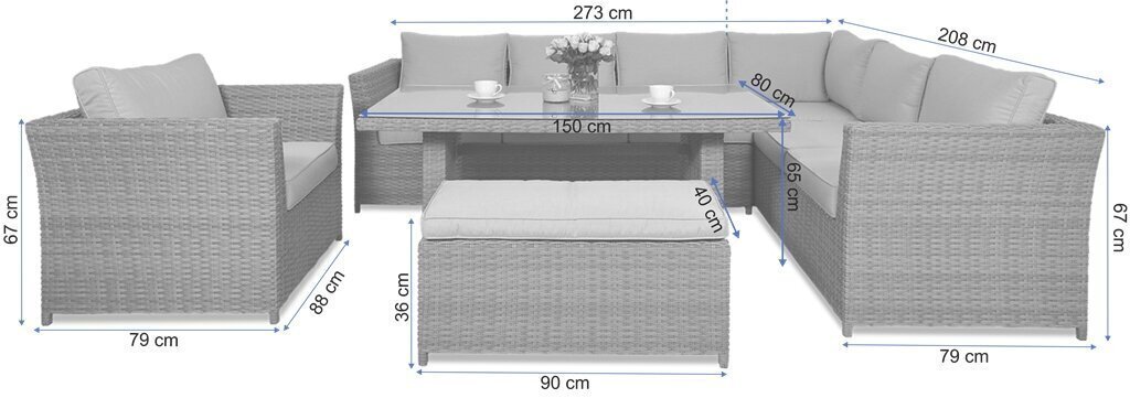 Aiamööblikomplekt Moniz Dining Plus, helehall цена и информация | Välimööbli komplektid | hansapost.ee