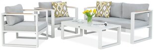 Комплект уличной мебели Focus Garden Panama 2, серый/белый цена и информация | Комплекты уличной мебели | hansapost.ee
