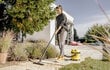 Karcher WD 2 Plus V-12/4/18/C цена и информация | Tolmuimejad | hansapost.ee