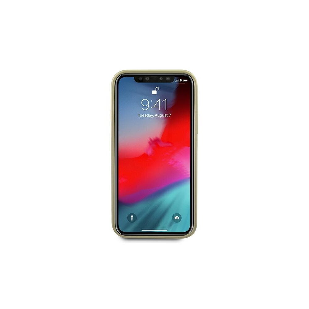 Telefoniümbris Guess iPhone 12 Pro Max 6,7'' hind ja info | Telefonide kaitsekaaned ja -ümbrised | hansapost.ee