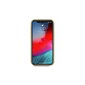 Telefoniümbris Guess iPhone 12 Pro Max 6,7'' hind ja info | Telefonide kaitsekaaned ja -ümbrised | hansapost.ee