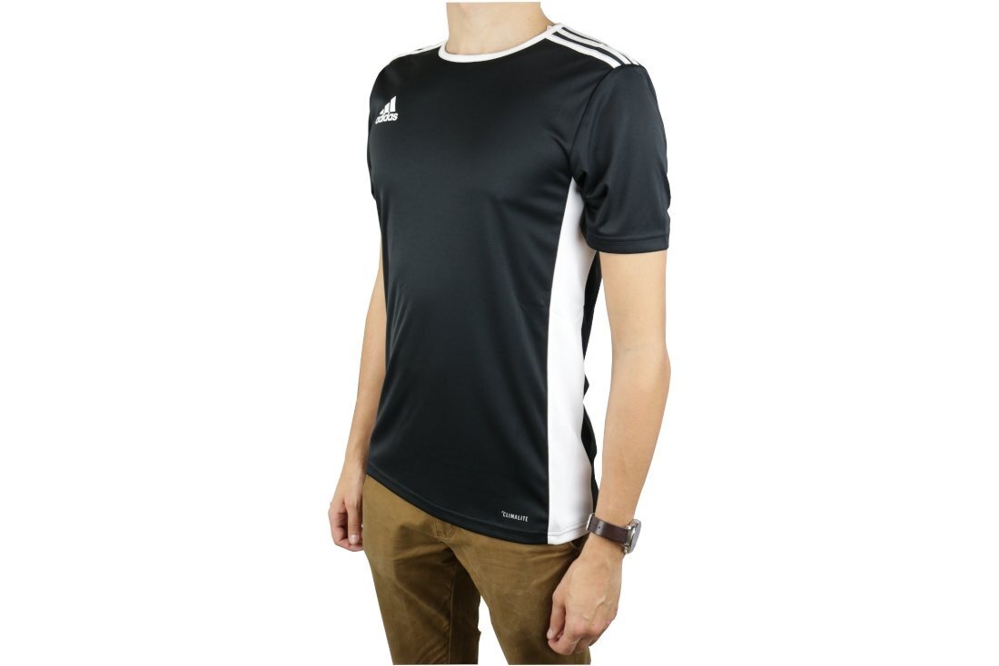 Meeste T-särk Adidas Entrada 18 CF1035, must hind ja info | Spordiriided meestele | hansapost.ee