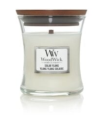 WoodWick lõhnaküünal Solar Ylang, 85 g hind ja info | Küünlad, küünlajalad | hansapost.ee