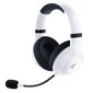 Razer RZ04-03480200-R3M1, valge цена и информация | Kõrvaklapid | hansapost.ee