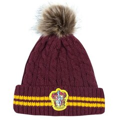 Harry Potter müts Gryffindor 20047 цена и информация | Мужские шарфы, шапки, перчатки | hansapost.ee