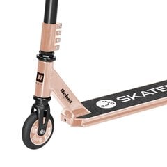 Triki tõukeratas Rebel Skater Pro Gold price and information | Scooters | hansapost.ee