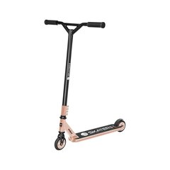 Triki tõukeratas Rebel Skater Pro Gold price and information | Scooters | hansapost.ee