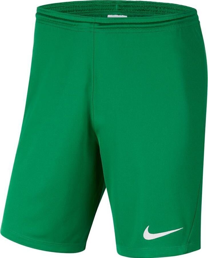 Meeste lühikesed püksid Nike Dry Park III BV6855 302, roheline цена и информация | Spordiriided meestele | hansapost.ee