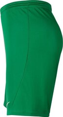 Meeste lühikesed püksid Nike Dry Park III BV6855 302, roheline hind ja info | Lühikesed püksid meestele | hansapost.ee