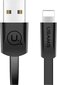 Usams SJ199IP01, USB A, 1.2 m цена и информация | Juhtmed ja kaablid | hansapost.ee