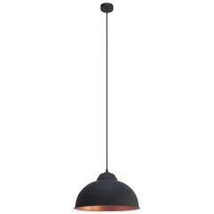 Eglo подвесной светильник Truro 2 49247 цена и информация | Люстры | hansapost.ee