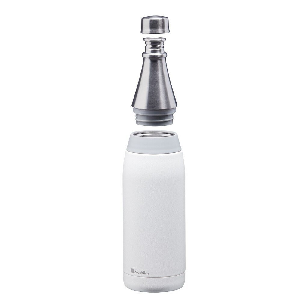 Termospudel Fresco Thermavac Water Bottle 0,6l, valge цена и информация | Joogipudelid | hansapost.ee