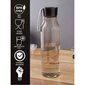 Pudel LOCK & LOCK Eco, 550 ml, pruun цена и информация | Joogipudelid | hansapost.ee