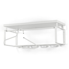 REX 3 GW127-72-02 SEINANAGI 70X28X29 CM METALL NIKKEL# price and information | Racks | hansapost.ee