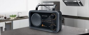 Muse M-06DS hind ja info | Raadiod ja äratuskellad | hansapost.ee
