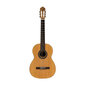 Klassikaline Flamenco kitarr Stagg SCL70-FLAMENCA hind ja info | Kitarrid | hansapost.ee