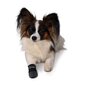 Kaitsvad saapad koertele Trixie Walker Care, S, 2 tk цена и информация | Koerte riided | hansapost.ee