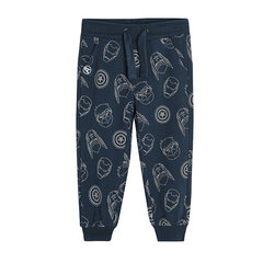 Спортивные штаны Cool Club для мальчиков, LCB2411011, темно-синие цена и информация | Штаны для мальчиков | hansapost.ee