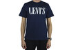 Meeste T-särk Levi's 699780130 hind ja info | T-särgid meestele | hansapost.ee