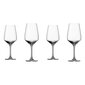 Vivo by Villeroy & Boch Punase veini klaasid VIVO Voice Basic, 4 tk hind ja info | Klaasid, kruusid ja kannud | hansapost.ee
