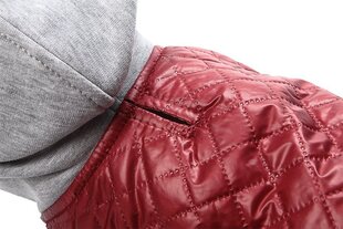 Amiplay куртка Boston, XXL, бордовый цена и информация | Одежда для собак | hansapost.ee