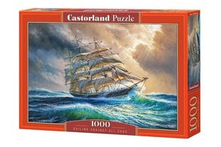 Puzzle 1000 элементов "Sailing against all odds" цена и информация | Пазлы | hansapost.ee