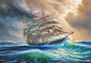 Puzzle 1000 элементов "Sailing against all odds" цена и информация | Пазлы | hansapost.ee