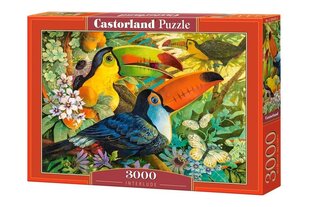 Pusle Castorland Puzzle, 3000 osaline hind ja info | Pusled lastele ja täiskasvanutele | hansapost.ee