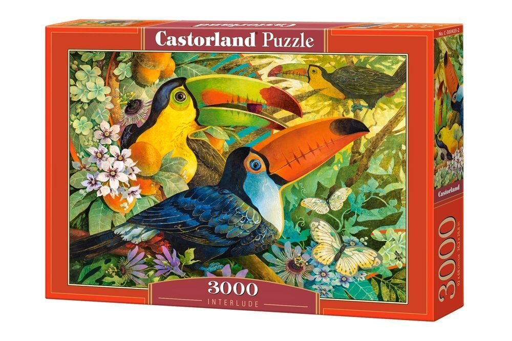 Pusle Castorland Puzzle, 3000 osaline цена и информация | Pusled lastele ja täiskasvanutele | hansapost.ee