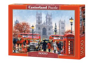 Pusle Castorland Puzzle, 3000 osaline hind ja info | Pusled lastele ja täiskasvanutele | hansapost.ee